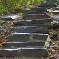 317-1345 Steps